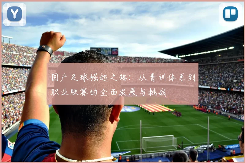 国产足球崛起之路：从青训体系到职业联赛的全面发展与挑战