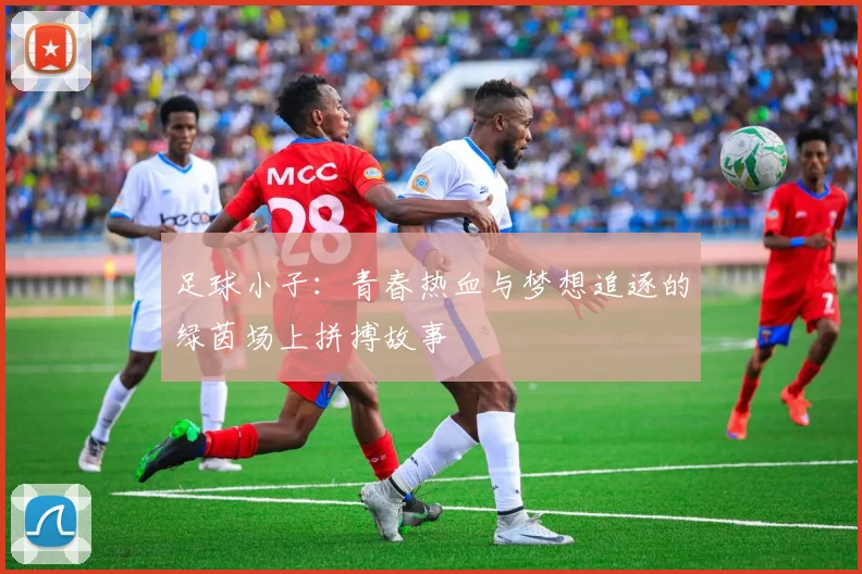 足球小子：青春热血与梦想追逐的绿茵场上拼搏故事